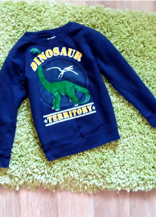 Джемпер, світшот garanimals