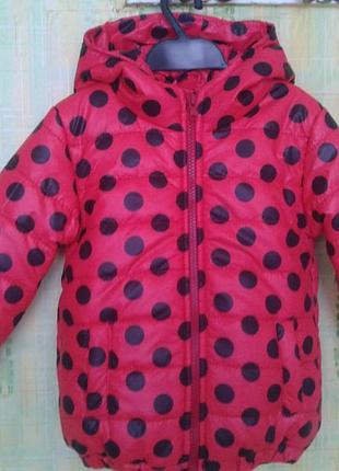 Куртка демісезонна