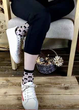 Прозорі шкарпетки, прозорі шкарпетки, шкарпетки