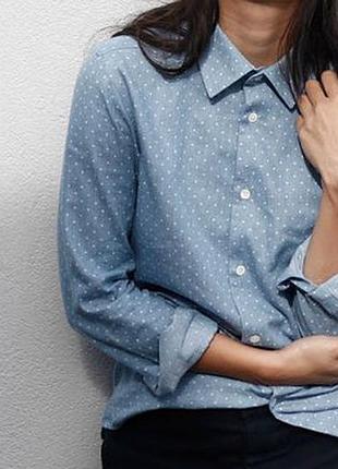 Блуза в горошек голубая