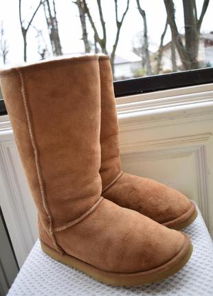 Замшевые натуральные угги уги ugg р.382 фото