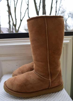 Замшевые натуральные угги уги ugg р.386 фото