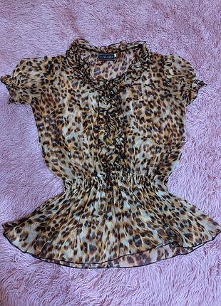 Блуза шифон 2