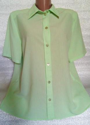 Блуза салатового цвета 🌵