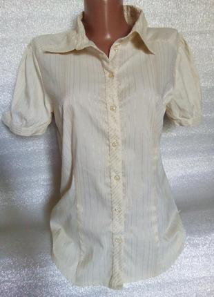 Кремовая блуза с коротким рукавом в полосочку 🌸