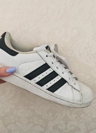 Кросівки adidas superstar