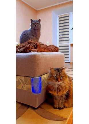 Чесалка щітка масажер для кішок cat it щётка массажер для кошек грумер2 фото