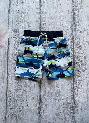 Крутые шорты для купания купальник плавки акулы babies 12-18мес