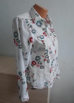 Сорочка блуза1 фото