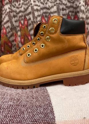 Женские высокие ботинки timberland1 фото