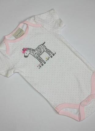 Нарядный боди зеброчка kyle & deena