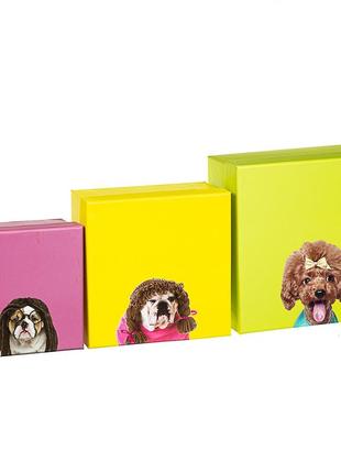 Набор ярких подарочных коробок "собачки" 3шт. (плотный картон)