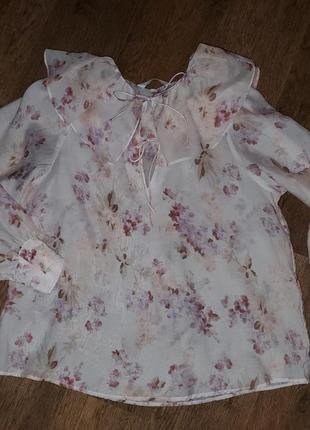 Батистовая блуза с красивым воротником воланом h&m батист, пьеро2 фото