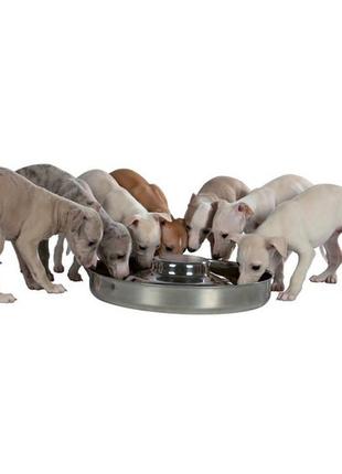 Терixie puppy bowl stainless steel миска сталева для цуценят 4 л2 фото