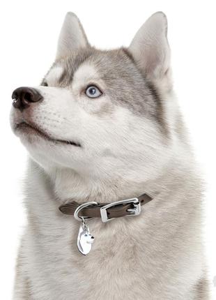 Myfamily медальон-адресник для собак хаски2 фото