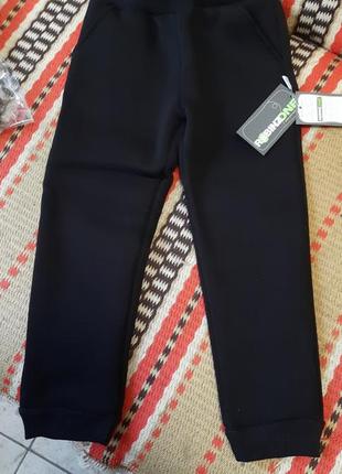 Штани теплі зима тьоплие трьохнитка на флісі начьос байка хутро