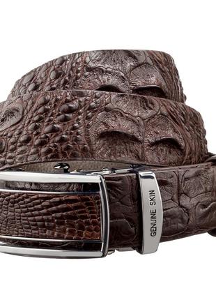 Ремінь-автомат crocodile leather 18240 з натуральної шкіри крокодила коричневий