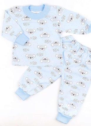 Детская хлопковая пижама коалы/дитяча трикотажна піжама