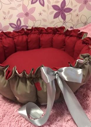 Зручний лежак трансформер для вашого домашнього улюбленця