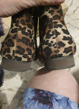 Ідеальні черевички челсі леопард 39 р устілка 258 фото