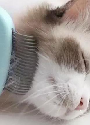Расческа кошек и собак, щетка для животных, цвет голубой, размер 9*9см