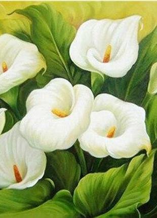 Алмазна вишивка часткова зашивка полотно: 30*40 см