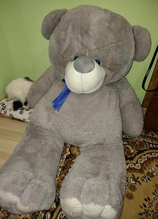 Плюшевий ведмідь