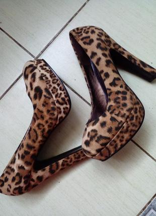 Замшевые туфли под леопарда