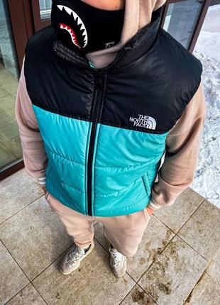 Чоловіча жилетка the north face