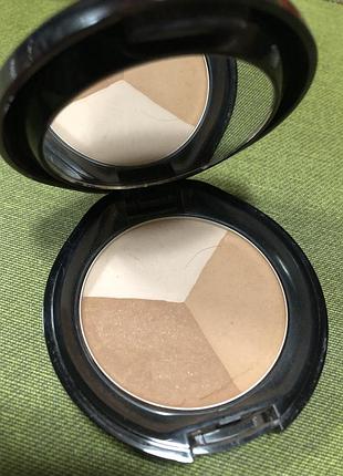 Shiseido luminizing color powder l4 golden bronze