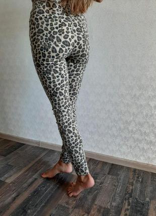 Джинси леопардові xs1 фото