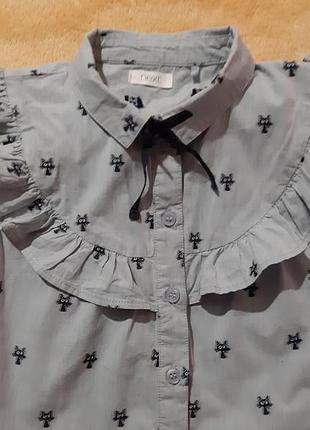 Нарядная блуза некст 2