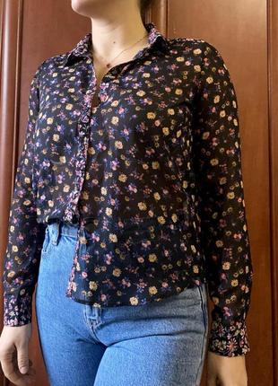 Нарядна сорочка блуза peacocks