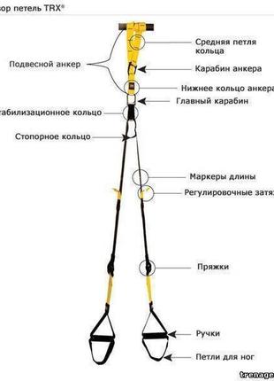 Тренировочные петли trx fit studio, ремни trx для фитнеса2 фото