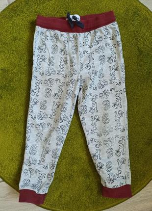 Штани, штаны