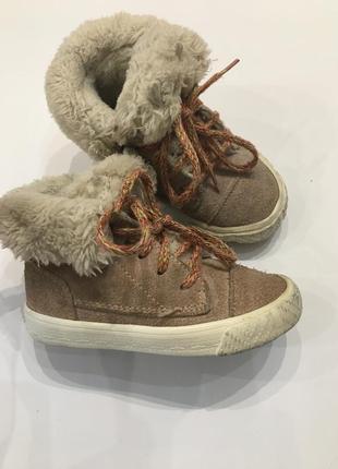 Сапоги zara  23 р