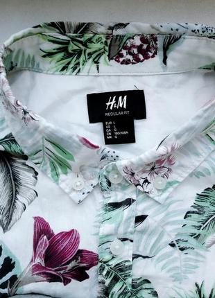Рубашка  гавайская h&m regular fit cotton гавайка (l)3 фото