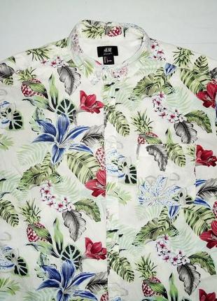 Рубашка  гавайская h&m regular fit cotton гавайка (l)2 фото