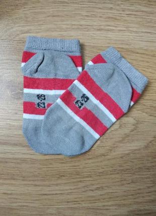 Котонові короткі шкарпетки в смужку. розмір 23 - 253 фото