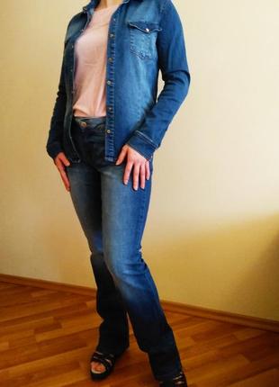 Синий джинсовый комплект 48 размера