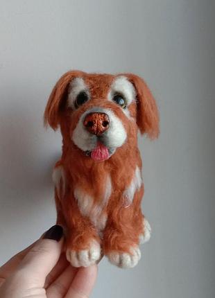 Собачка з натуральної овечої вовни