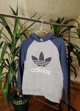 Толстовка, худи