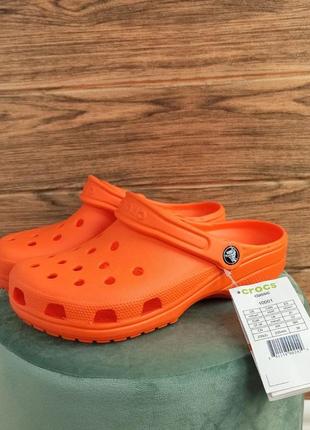 Жіночі крокси сабо crocs classic clog white помаранчеві бузкові