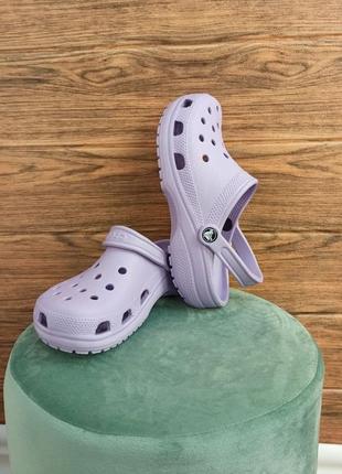 Жіночі крокси сабо crocs classic clog white бузкові