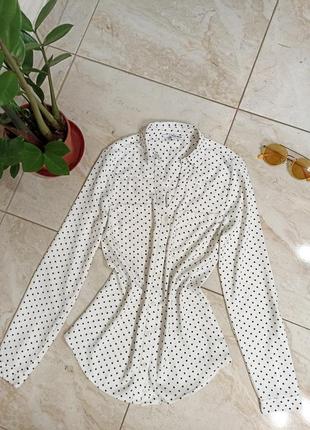 Блуза в горох
