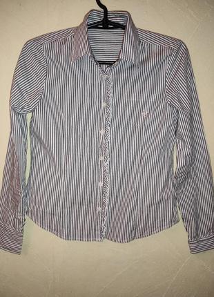 Стильна сорочка
