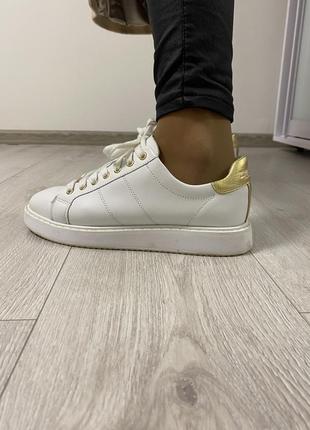 Кеді polo ralph lauren