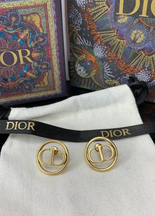 Брендовые серьги в позолоте