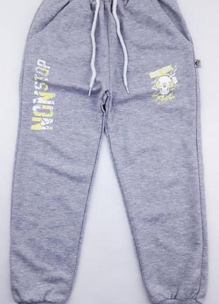 Спортивные штаны misil kids 1534 110см(р) серый