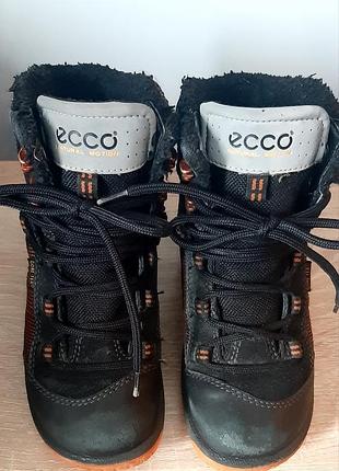 Сапожки ecco 29р 5